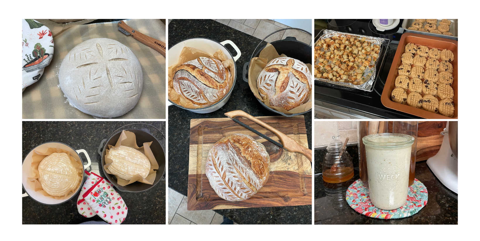 Did you know we offer Intro to Sourdough Classes?  Shop "Intro to Sourdough" for details and dates.